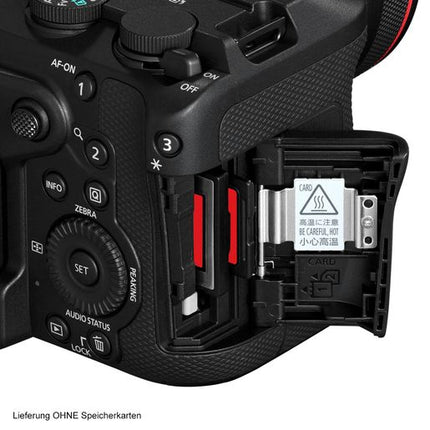 Canon EOS R6 V+RF 4/20-50 mm L IS USM PZ Kit