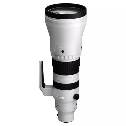 Sigma DG 300-600/4,0 OS Sport L-Mount